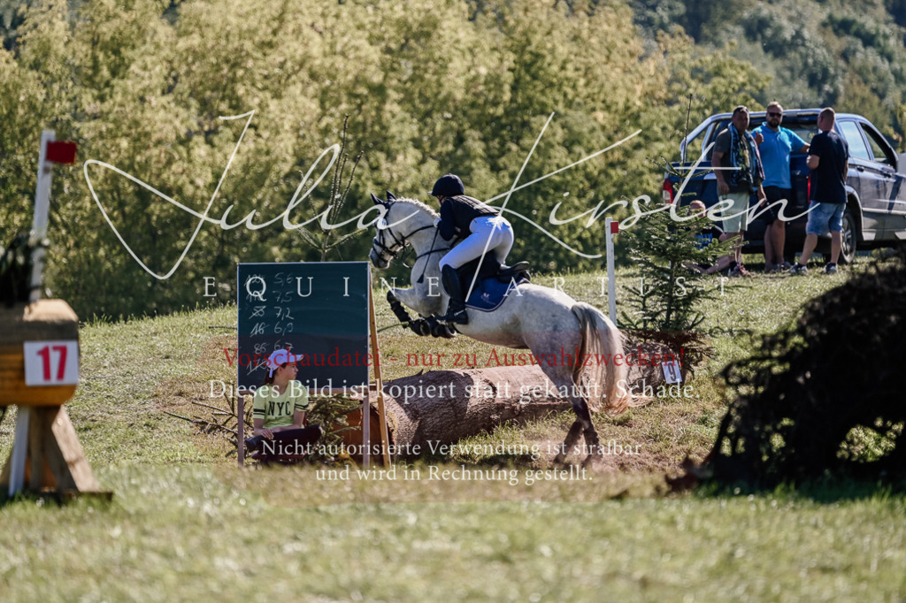 DSC_3223 | Pferde- und Turnierfotografie in Westsachsen. Pferdeportraits, Auftragszeichnungen und intuitive Kunst.