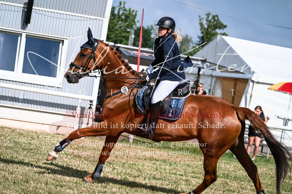DSC_7760 | Pferde- und Turnierfotografie in Westsachsen. Pferdeportraits, Auftragszeichnungen und intuitive Kunst.