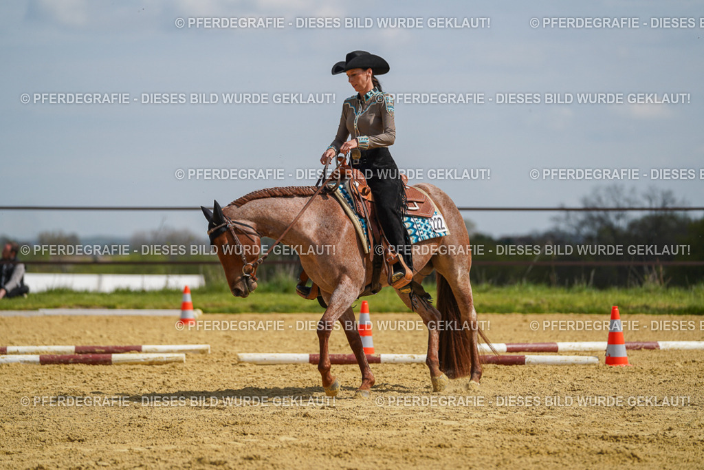 DSC04937 | Pferdegrafie