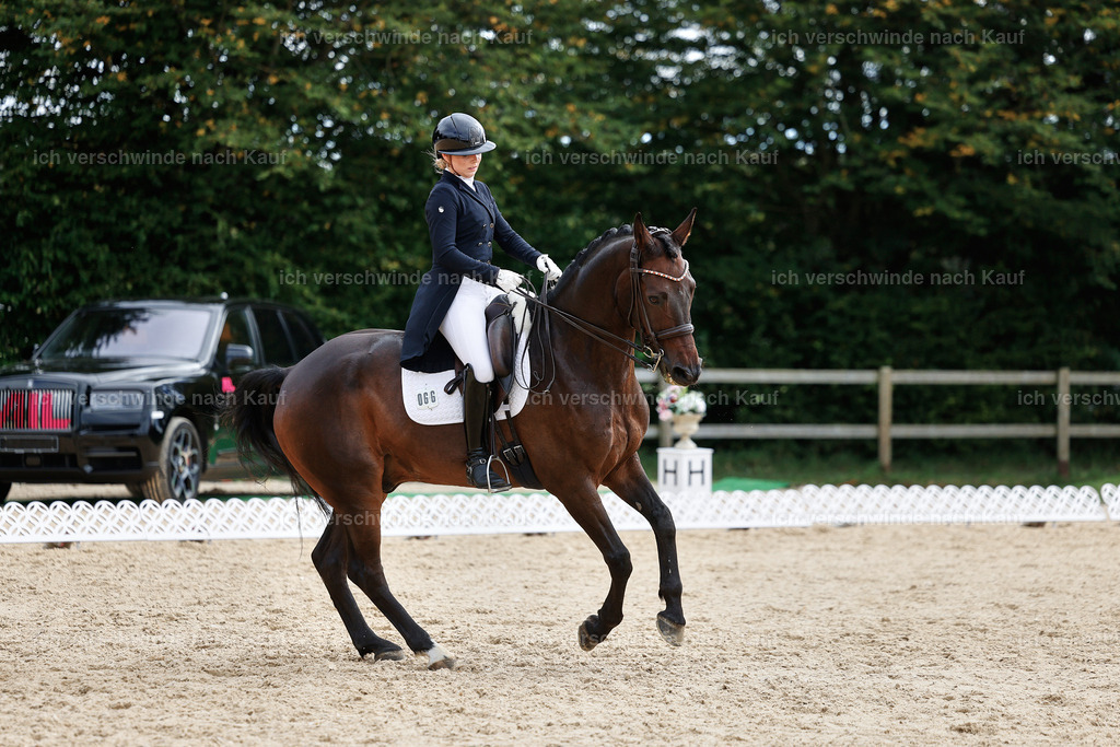 11-066-Dressur S___-StoibPH-1253 | working equitationturnier fotograf videograf stoibphotography marixx film working equitation deutschland reitsport turnierfotografie eventfotografie equestrian events