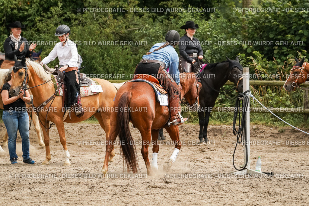 DSC00187 | Pferdegrafie