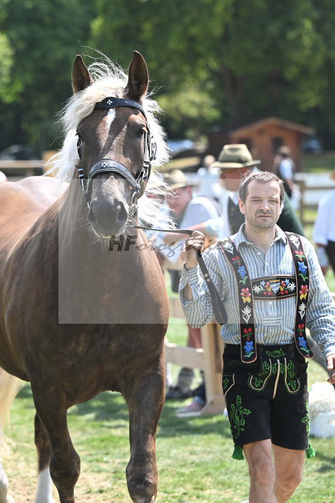 Kat-Nr. 62 Ophira_Steinle_20231008 | hf-fotografie - Realisiert mit Pictrs.com