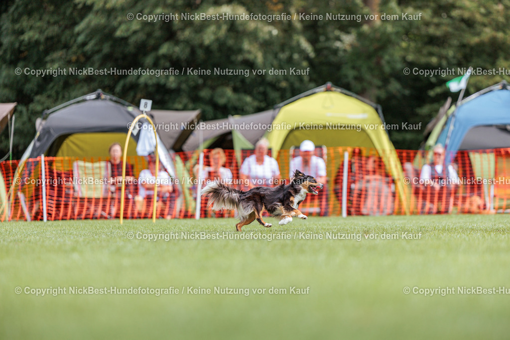 BSP Hoopers-H1-2026-Nickbest-Hundefotografie-TuS Komet Arsten e.V.-7061 | Dein Hund! Dein Moment! Deine Erinnerungen! Hundefotografie in Bremen Blumenthal. Ich fange die besonderen Momente deines Vierbeiners ein – ob Indoor mit Blitzanlage oder in der freien Natur. Sicher dir dein Moment und dein Termin für eure Erinnerungen.