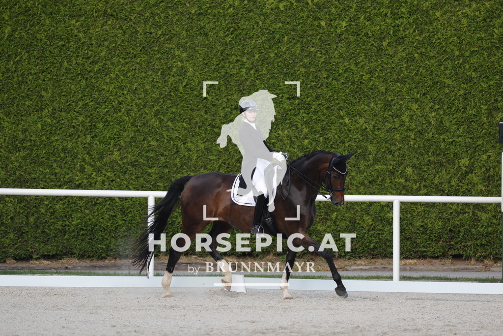 0P6A4278 | Willkommen bei Brunnmayr - Design & Fotografie – Ihrem Spezialisten für Reitturniere und Pferdeveranstaltungen in Oberösterreich, Salzburg und Bayern! Seit über 17 Jahren sind wir leidenschaftlich dabei.