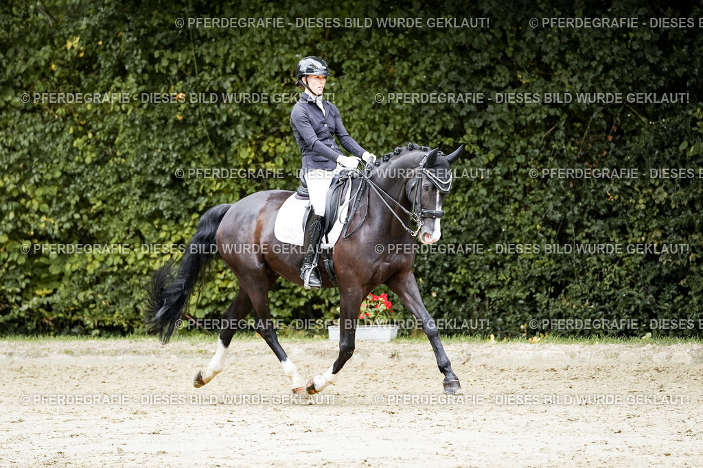 DSC06031 | Pferdegrafie