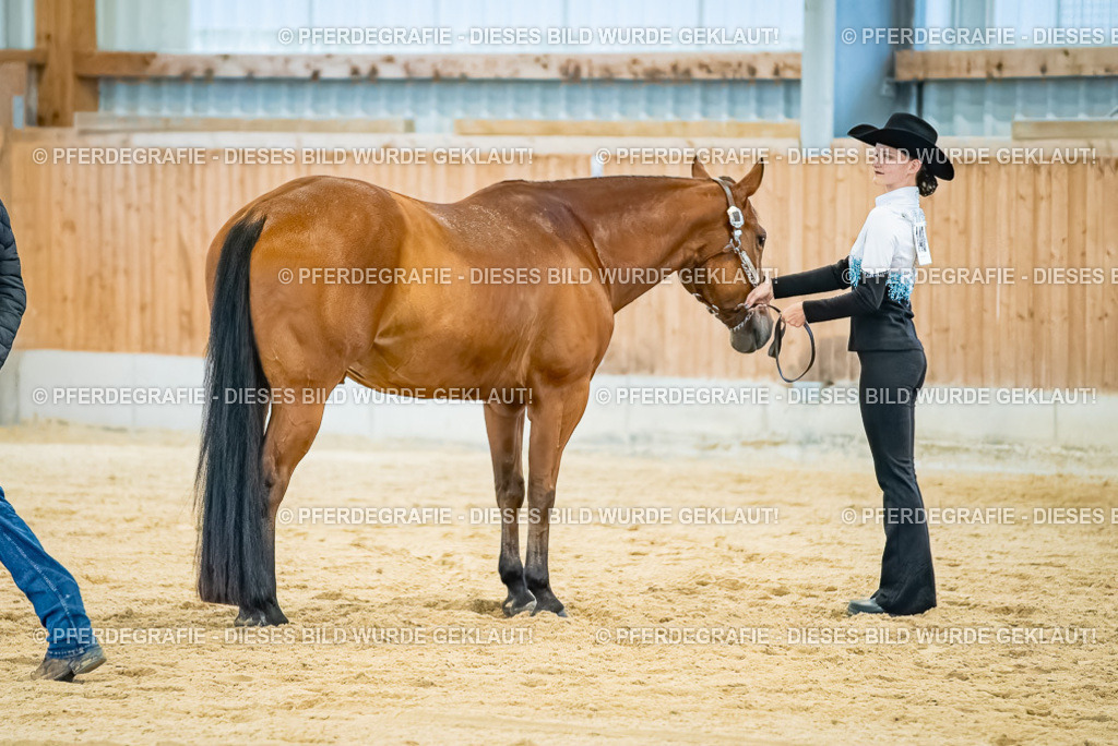 DSC09813 | Pferdegrafie