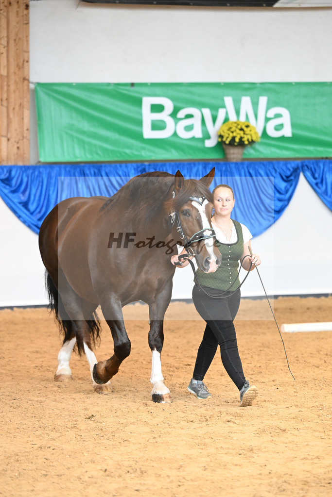 Kat-Nr. 82 Rebeca_Bauer_53220420 | hf-fotografie - Realisiert mit Pictrs.com