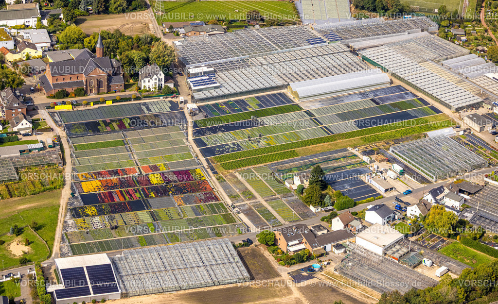 Duesseldorf250903126 | Luftbild, farbig bunte Blumen im Gartenbaubetrieb In der Hött, Formen und Farben, kath. St. Bonifatius Kirche, Flehe, Düsseldorf, Ruhrgebiet, Nordrhein-Westfalen, Deutschland