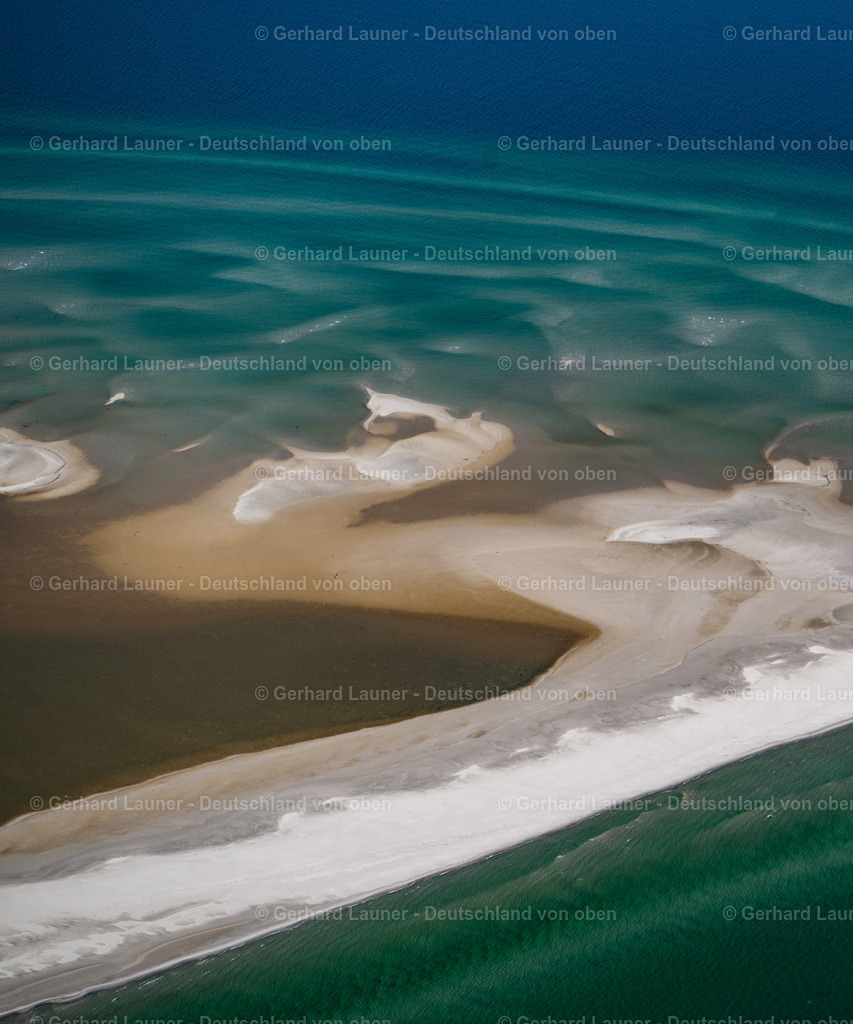 3801305 | Nordspitze Darss, Nationalpark Vorpommersche Boddenlandschaft