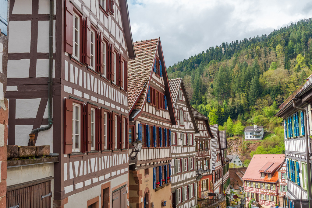 schiltach_210425-7 | <div id="allefotografen-seal-verified-green"></div><script src="https://www.allefotografen.de/956728/seal-verified-green/seal.js" async="async"></script> - Realisiert mit Pictrs.com