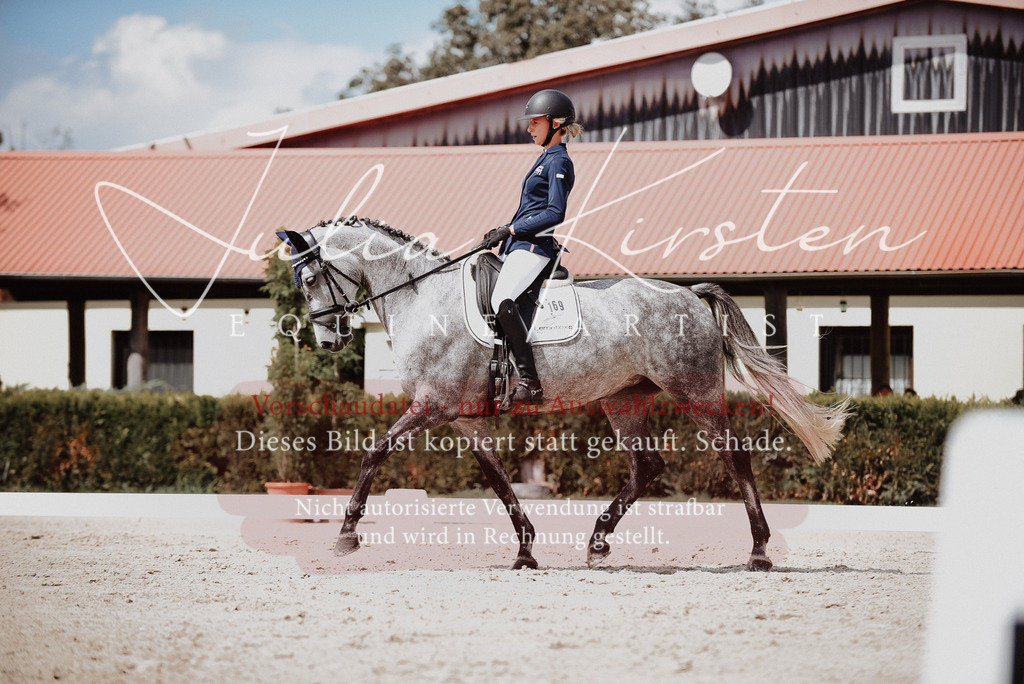 DSC_9260 | Pferde- und Turnierfotografie in Westsachsen. Pferdeportraits, Auftragszeichnungen und intuitive Kunst.