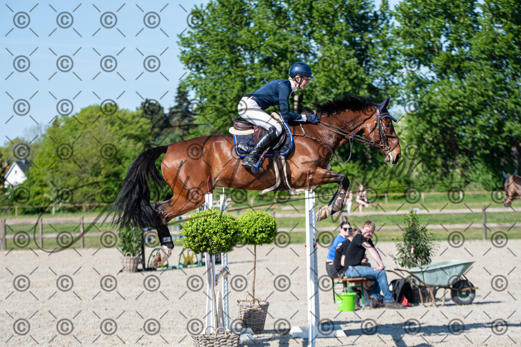 KPT_1736 | andre_photographic