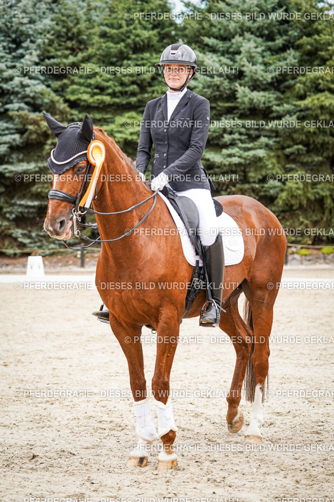 DSC04743 | Pferdegrafie