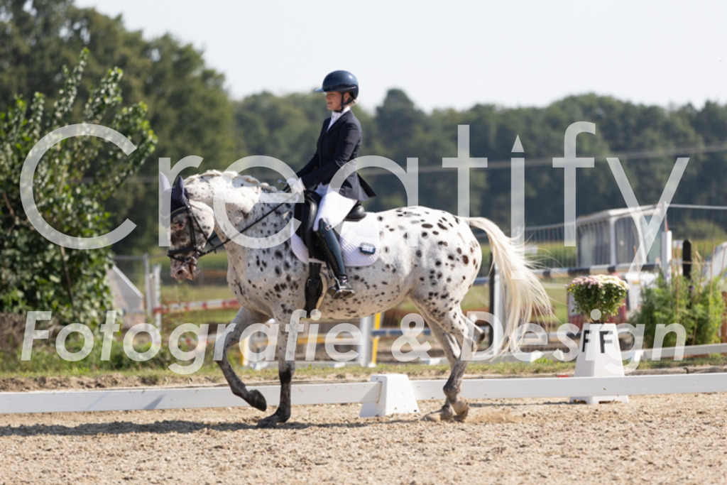 IMG_4666 | Creatify Fotografie