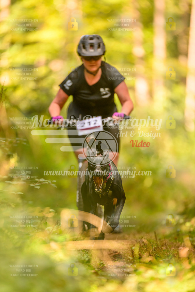 MompixPhotography_Yens2025_B2-96 | PayLife