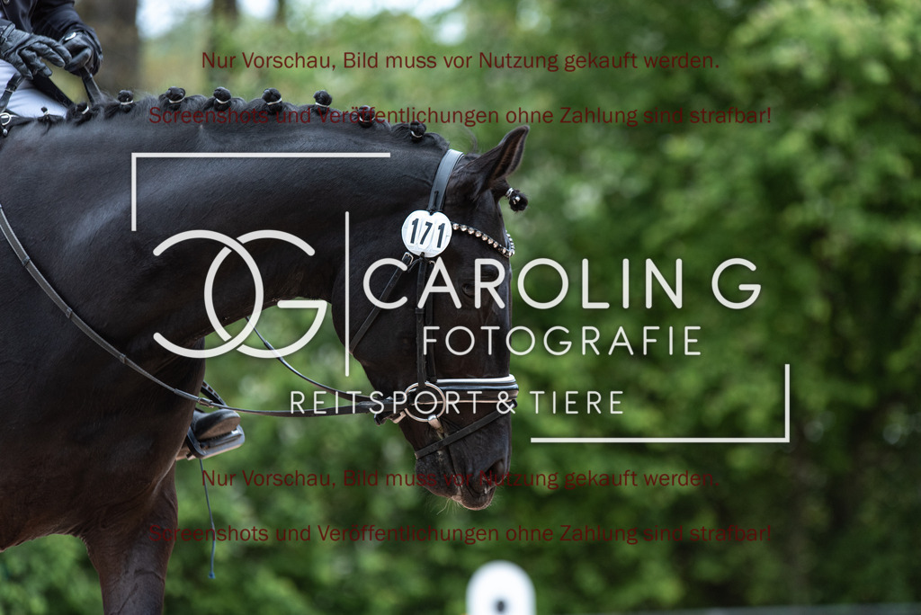 DSC_7328 | Turnierfotografin Carolin Gieschke, Turnierfotografie Carolin G Fotografie, Turnierfotos Kirchheim/Teck, Esslingen, Stuttgart, Bodenseekreis