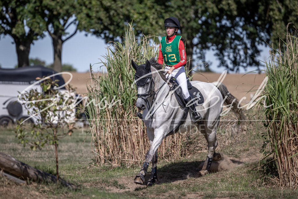 20260906-_3LI5897 | Tierfotografie Pferde, Hunde, Katzen, Haustiere.
Turnierfotografie Reitturniere, Reiten, Springreiten, Dressur in Hanau, dem Main-Kinzig-Kreis und dem Rhein-Main- Gebiet um Frankfurt