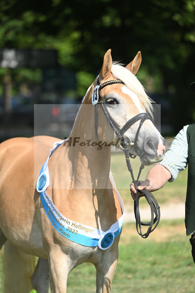 Kat-Nr. 13 Milana_Strauss_20231839 | hf-fotografie - Realisiert mit Pictrs.com