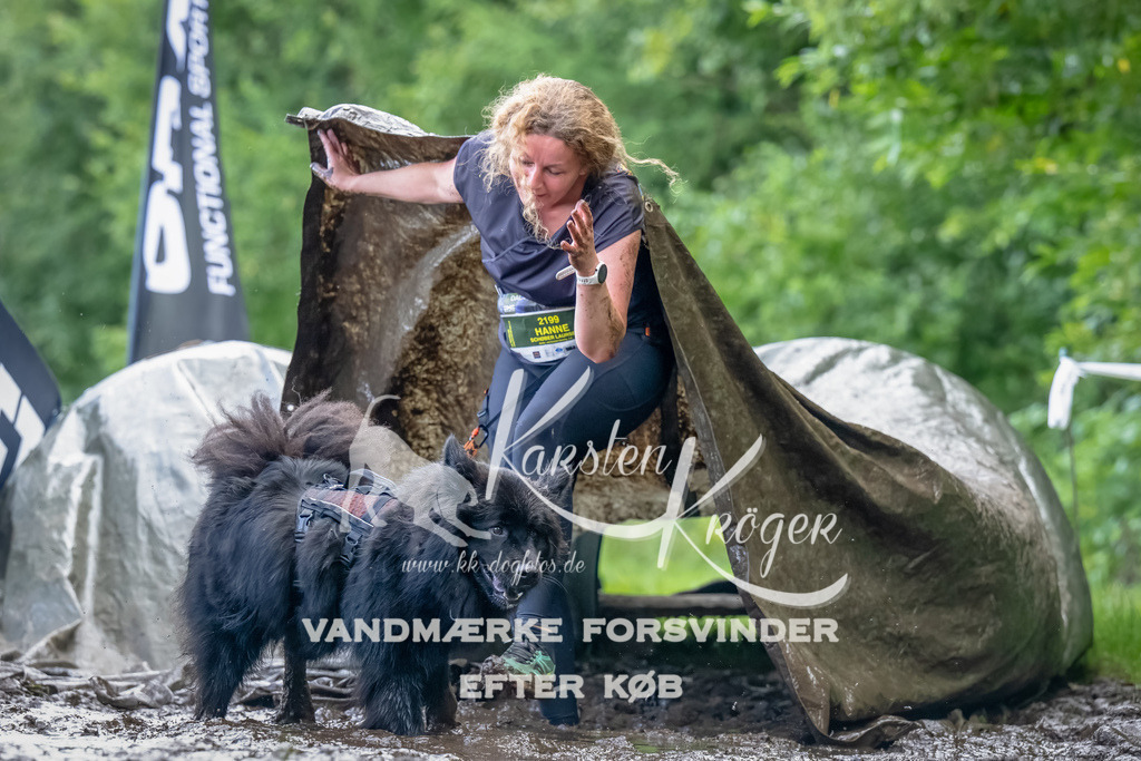 1154_ZZ90221-Bearbeitet | kk-dogfotos