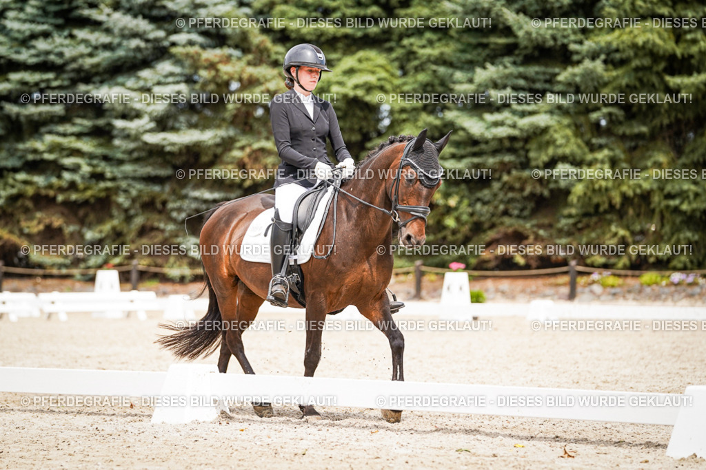 DSC04153 | Pferdegrafie