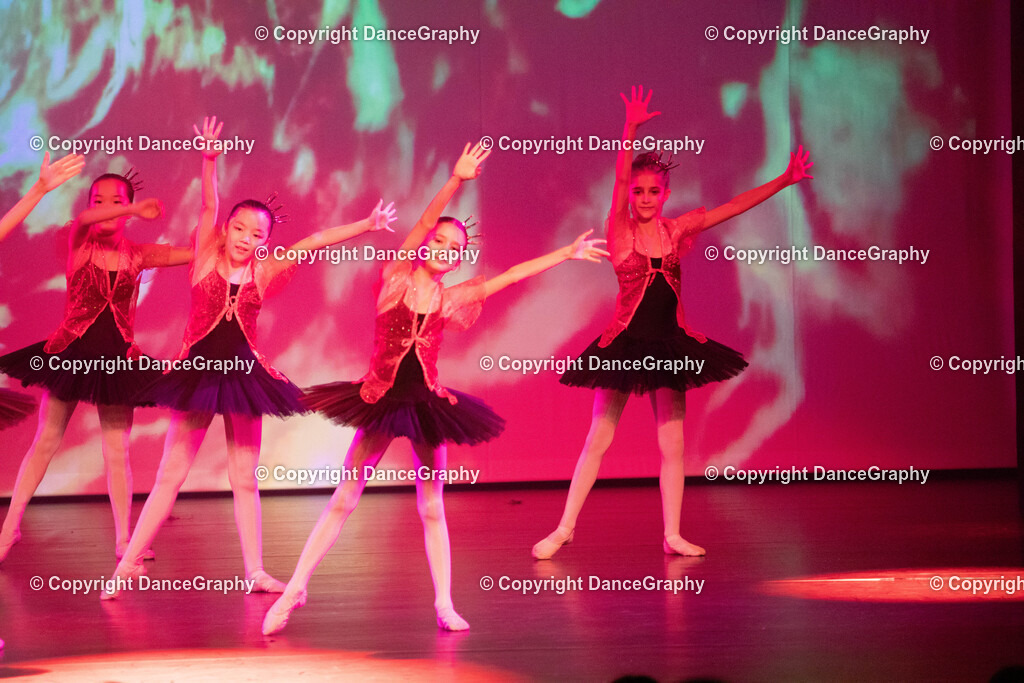 GPHY2174 | DanceGraphy - Realisiert mit Pictrs.com