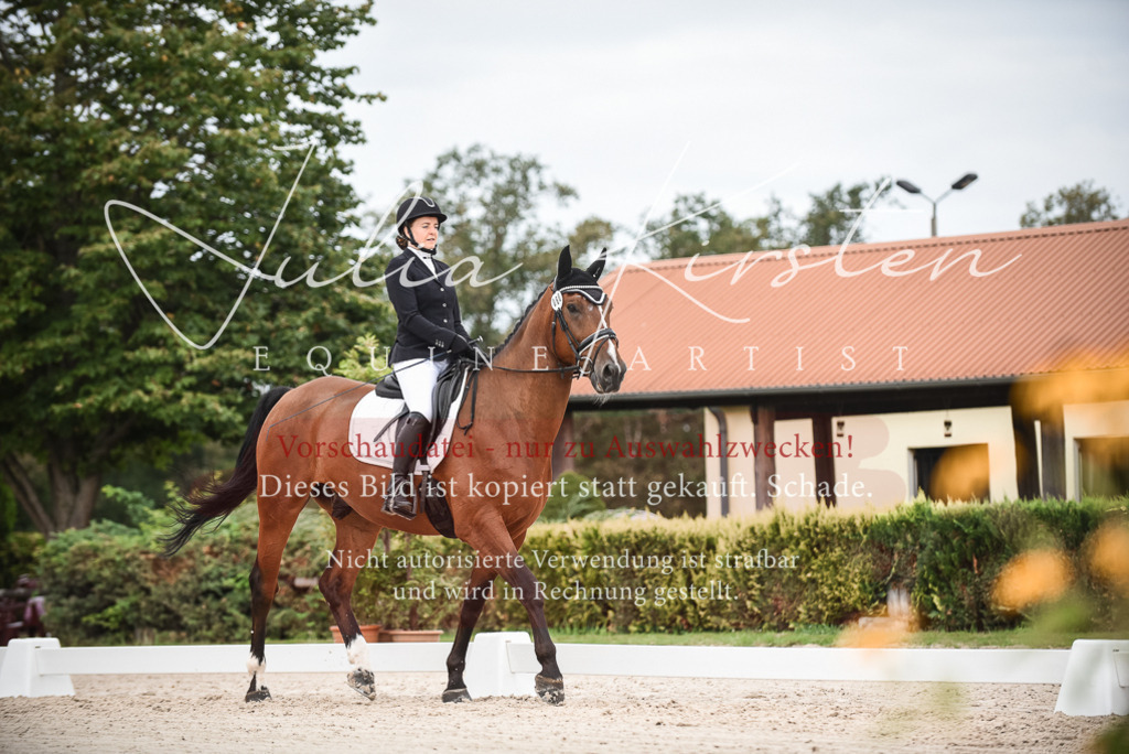 DSC_8085 | Pferde- und Turnierfotografie in Westsachsen. Pferdeportraits, Auftragszeichnungen und intuitive Kunst.