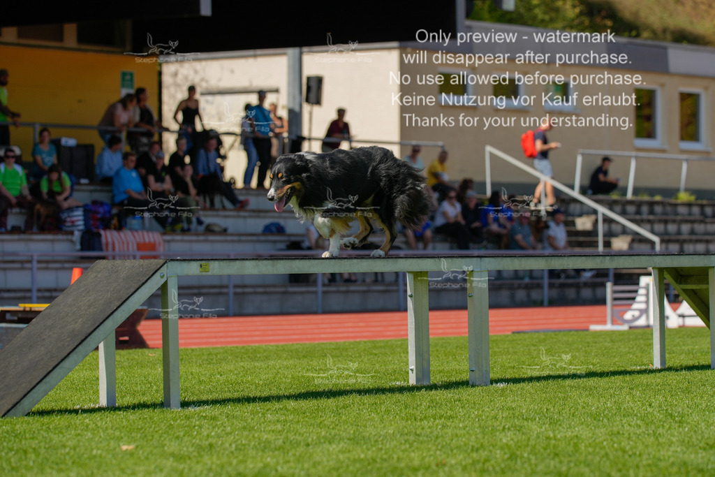 Sonntag_VK Hindernis (408 von 671) | stephaniefillaphotographie - Realisiert mit Pictrs.com