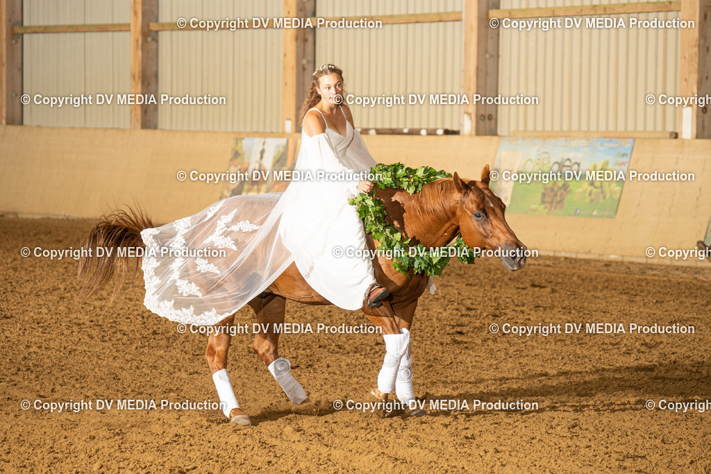 LAU01195 | dv-media-shop - Realisiert mit Pictrs.com