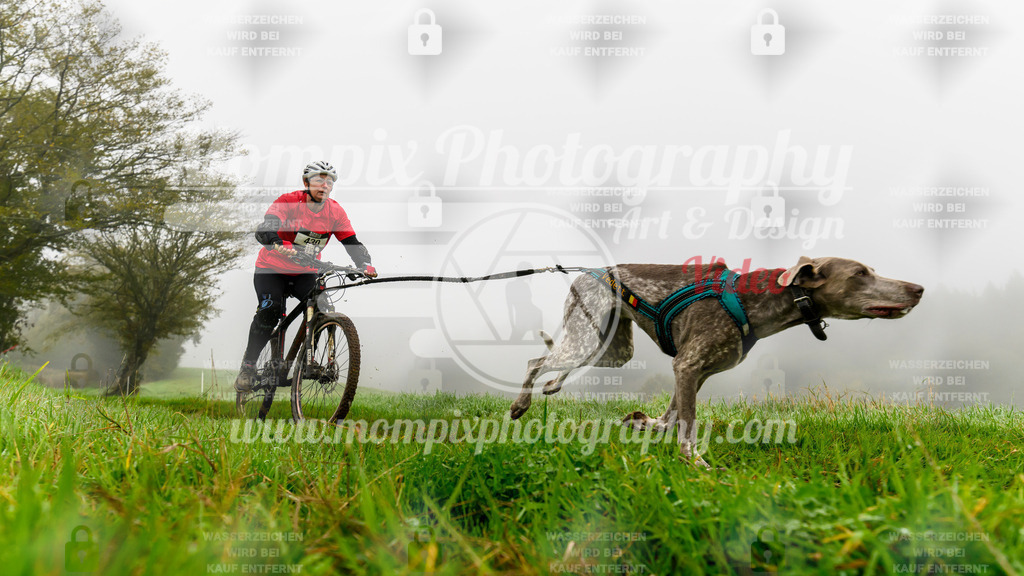 MompixPhotography_20TSB_E5_Bike-119 | PayLife