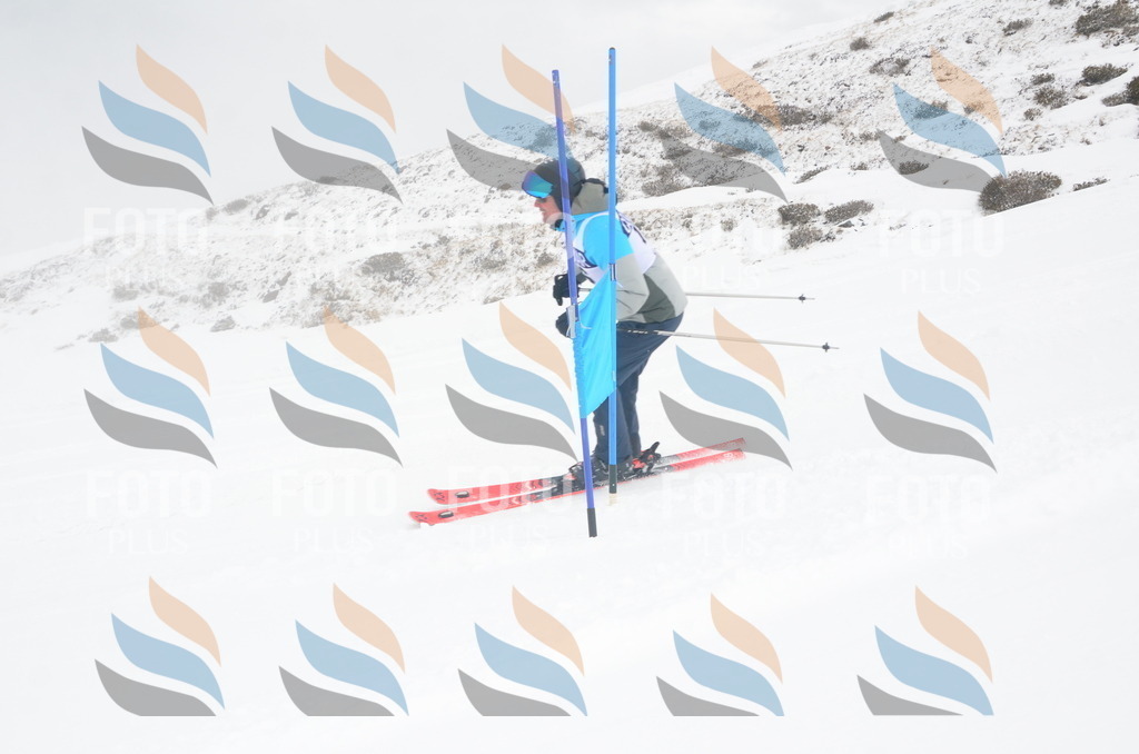 A5986 | holidayphoto