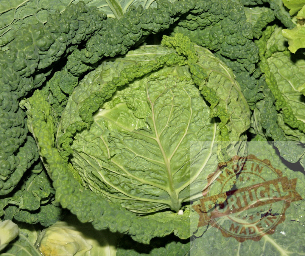 Savoy cabbage showing fresh healthy green leaves | Savoy cabbage head with textured green leaves for healthy eating - Realized with Pictrs.com