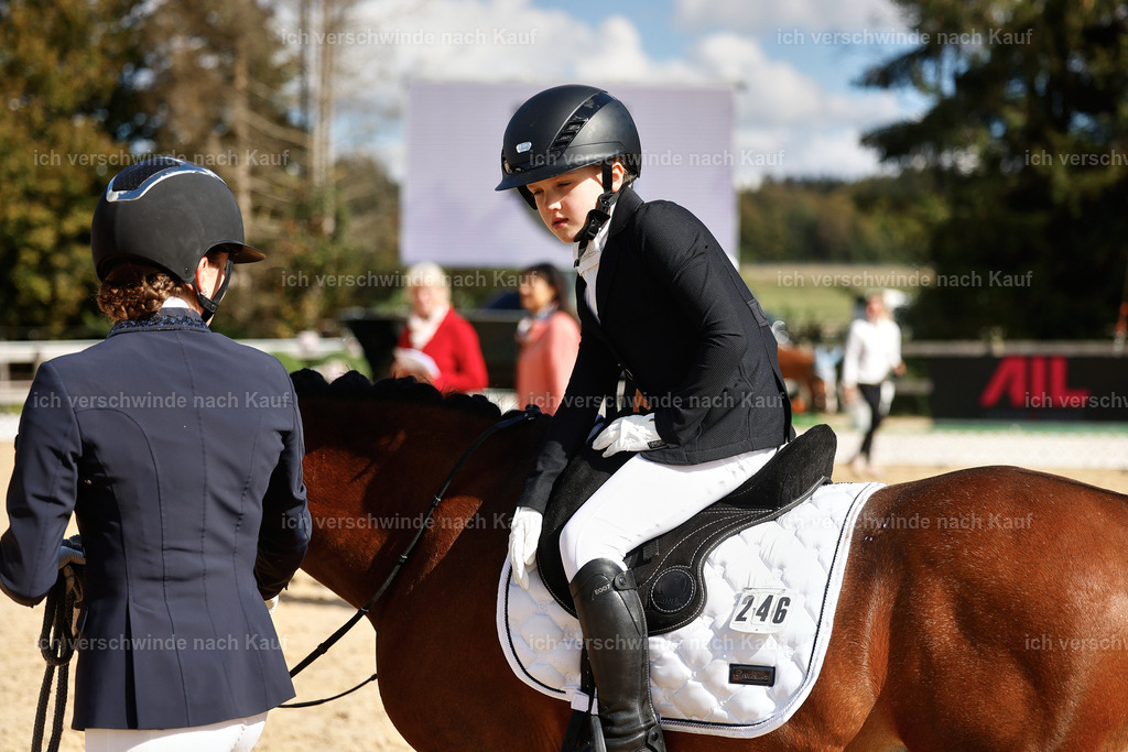01--Ponyführzügel -StoibPH-6705 | working equitationturnier fotograf videograf stoibphotography marixx film working equitation deutschland reitsport turnierfotografie eventfotografie equestrian events