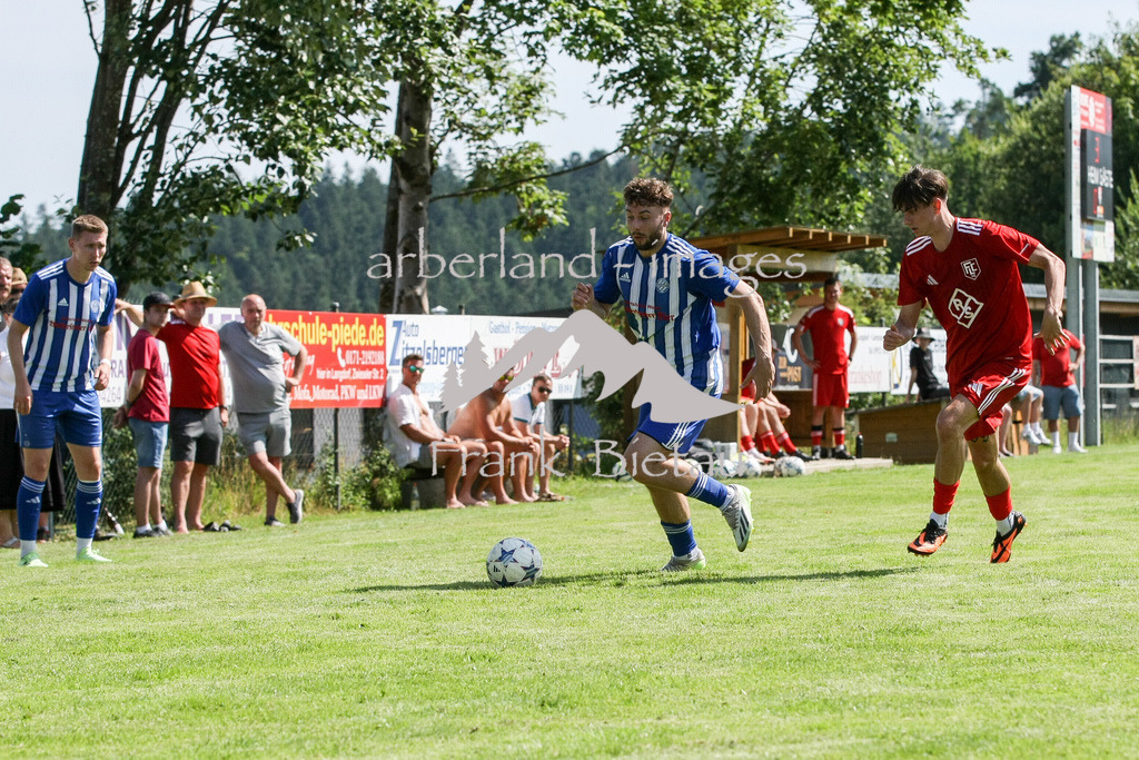 993T9218 | li. Jiri Michalek