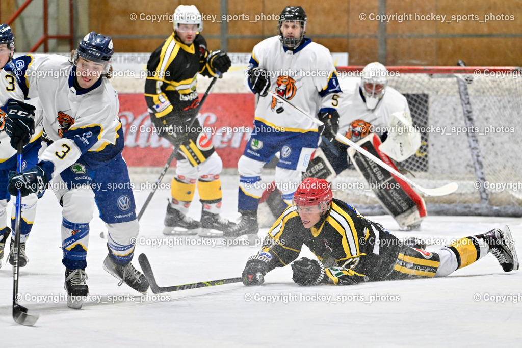 EC Tigers Paternion vs. Carintia Team | #77 Hadzic Sebastjan Carinthian Team, #3 Kronawetter Piersilvio EC Tigers Paternion, #5 Rauter Marcel EC Tigers Paternion, EC Tigers Paternion vs. Carintia Team, EC Tigers Paternion vs. Carintia Team am 29.12.2025 in Spittal an der Drau (Eissportzentrum Spittal), Austria, (Photo by Bernd Stefan)