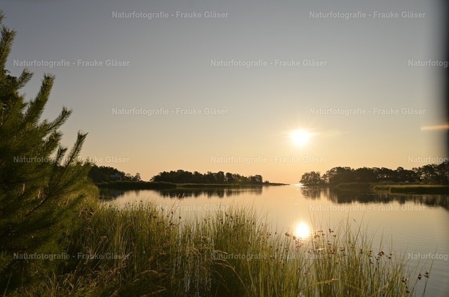 Oskarshamn (1) | Naturfotografie Frauke Gläser - Realisiert mit Pictrs.com