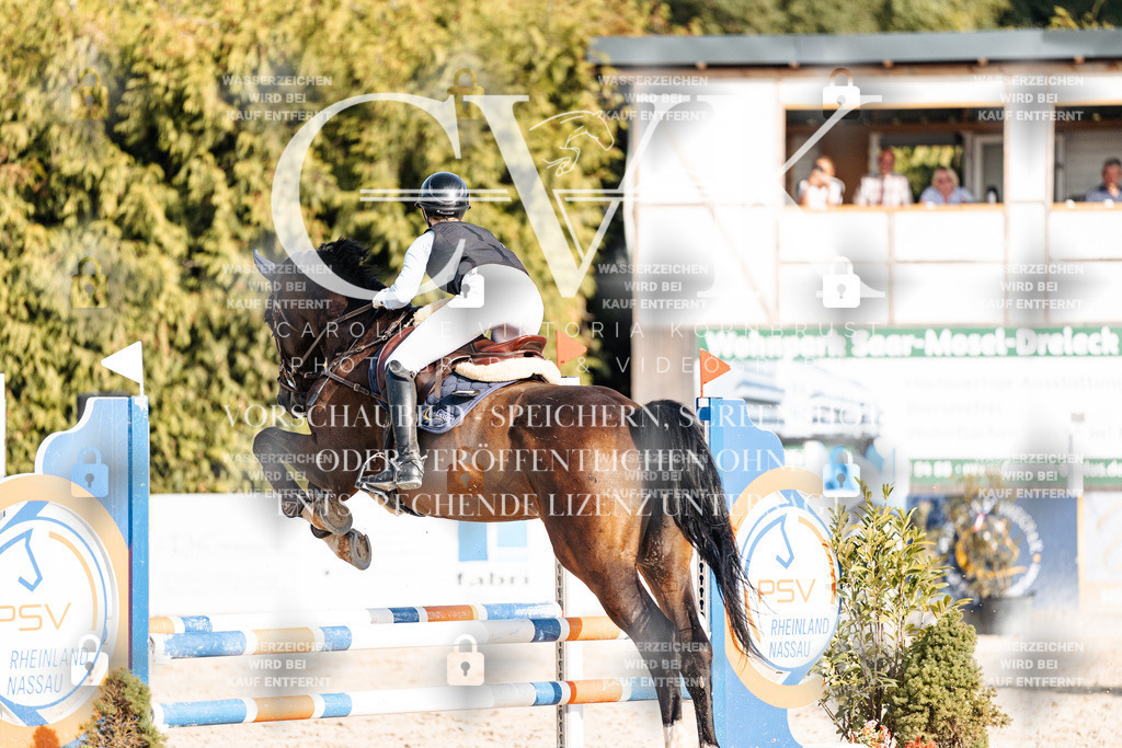 CK909561 | Turnierfotografie Pferdefotografie Trier Rheinland-Pfalz Pferdesport Reitsport Tierfotografie Sportfotografie Pferdevideo Pferdevideografie Equestrianvideography equestrianphotography  - Realisiert mit Pictrs.com