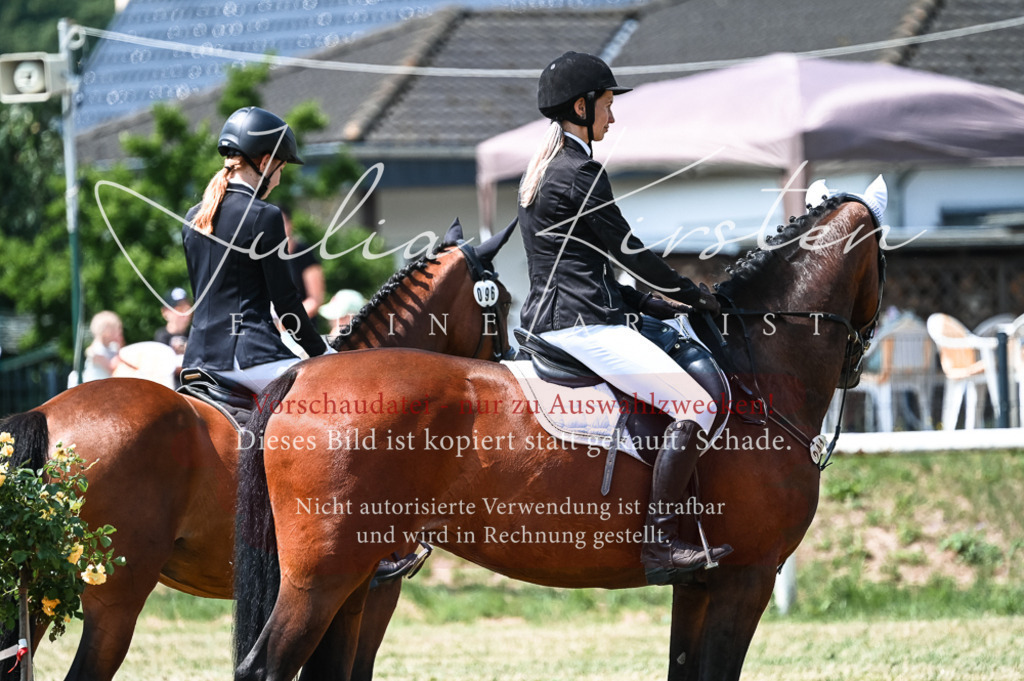 DSC_9498 | Pferde- und Turnierfotografie in Westsachsen. Pferdeportraits, Auftragszeichnungen und intuitive Kunst.