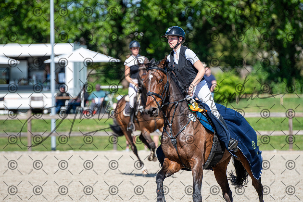 KPT_1472 | andre_photographic