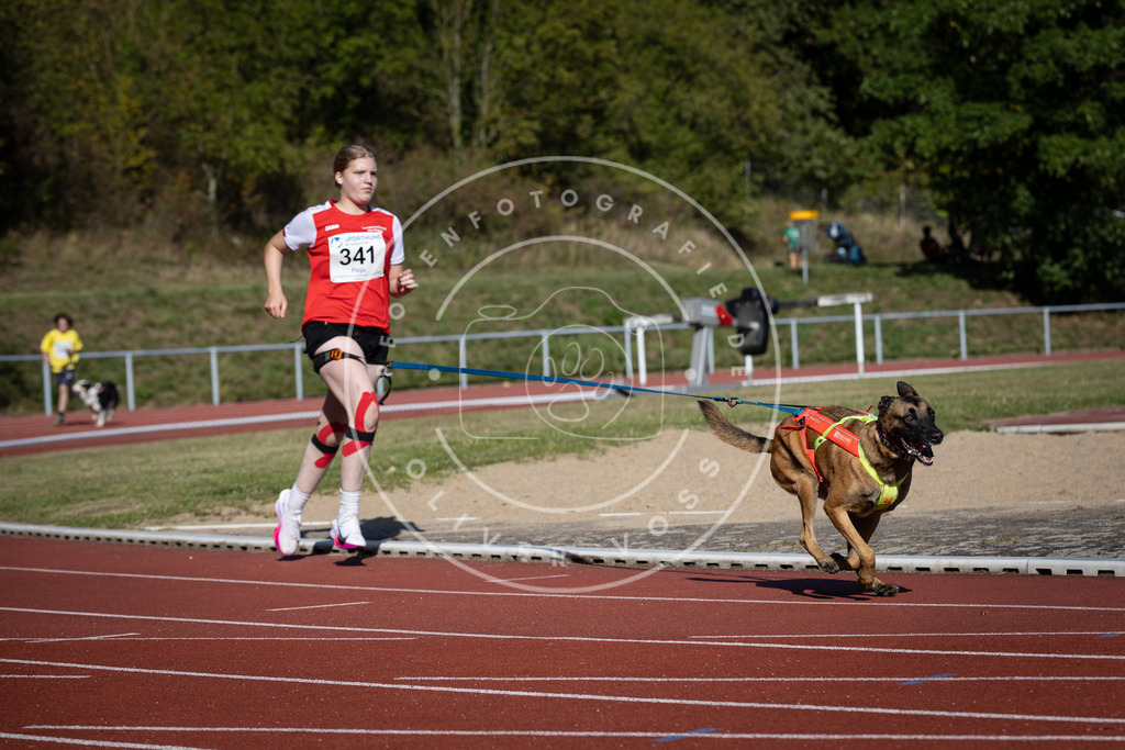 Pfotenfotografie_DV3A8173 | Hundefotografie, Tierfotograf, Pfotenfotografie, Fotoshooting Hund, Hunde Portrait, Hundesport, Hundeportraits, Heideshooting, Hunde, Sportfotograf, Hundefotograf, Turnierhundsport, THS,  - Realisiert mit Pictrs.com
