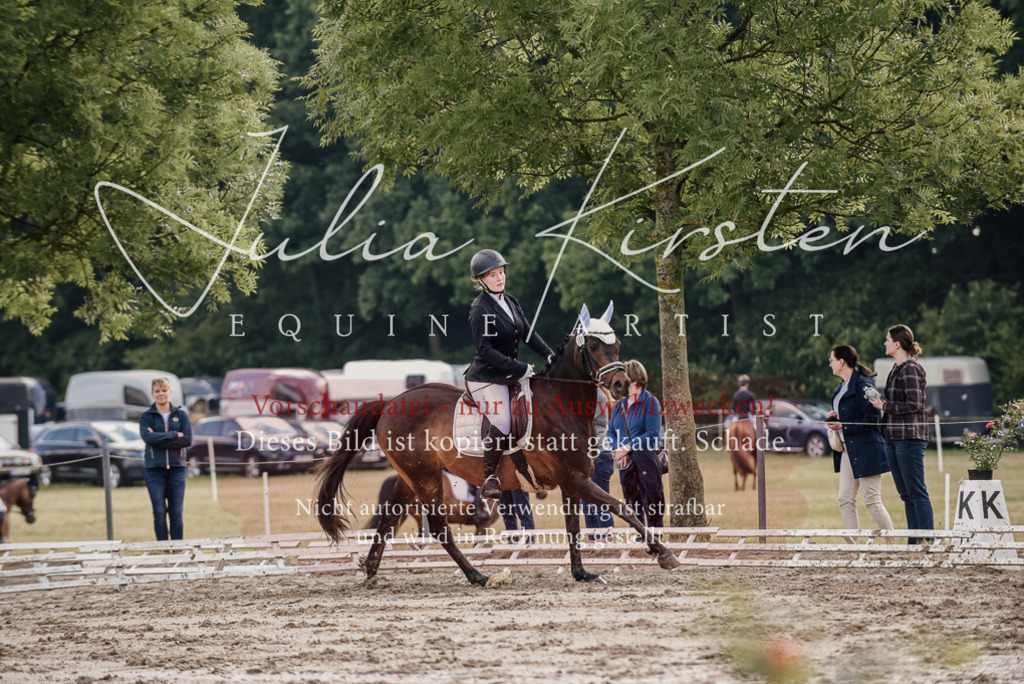 DSC_8200 | Pferde- und Turnierfotografie in Westsachsen. Pferdeportraits, Auftragszeichnungen und intuitive Kunst.