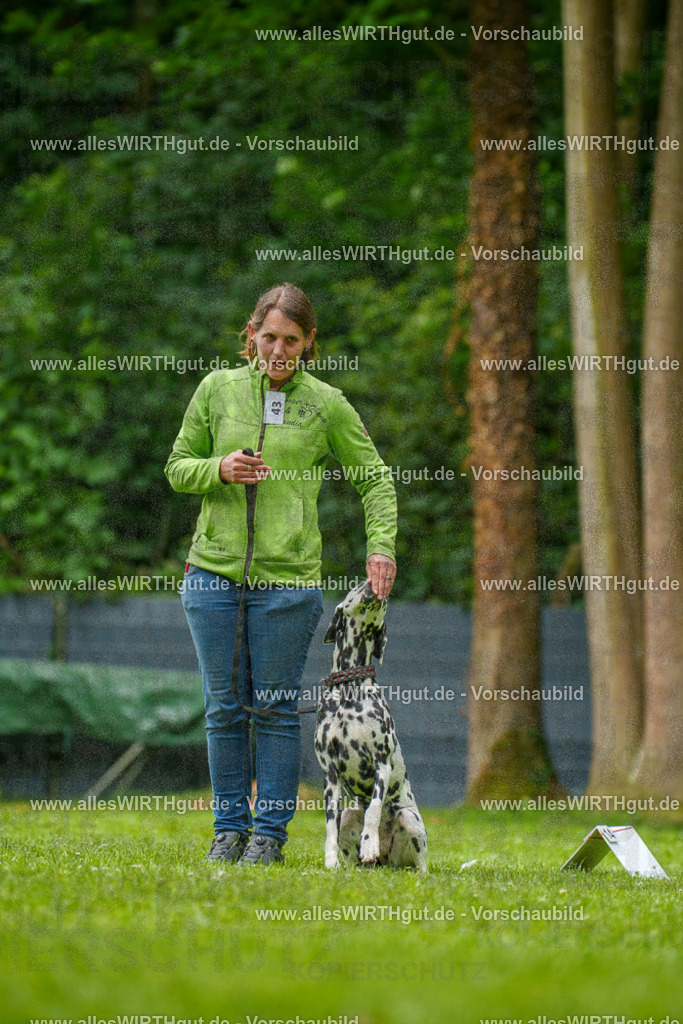 @allesWIRTHgut_Tierfotografie - www.allesWIRTHgut.de - 135236-7R500117 | Professionelle Tierfotografie in Mönchengladbach von Daniel Wirth (allesWIRTHgut). Liebevolle & natürliche Bilder von Hunden & Katzen für unvergessliche Erinnerungen.