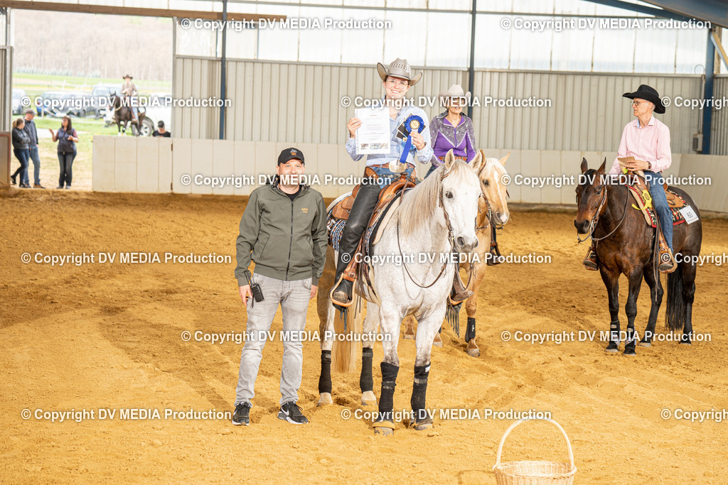 MIT01380 | dv-media-shop - Realisiert mit Pictrs.com