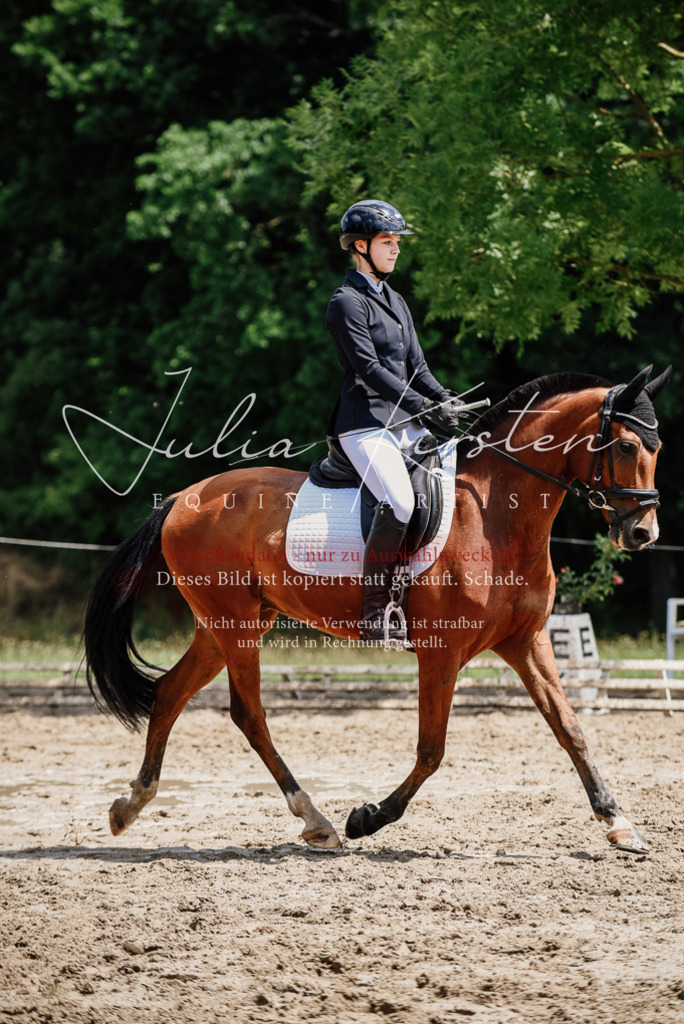 DSC_1736 | Pferde- und Turnierfotografie in Westsachsen. Pferdeportraits, Auftragszeichnungen und intuitive Kunst.