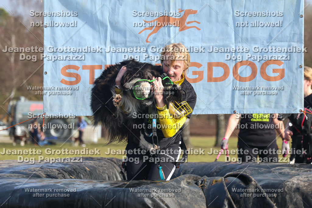 Dog Paparazzi - Strongdog North Mrz26-2413 | Dog Paparazzi Jeanette Grottendiek Fotografie & Videografie - Realisiert mit Pictrs.com