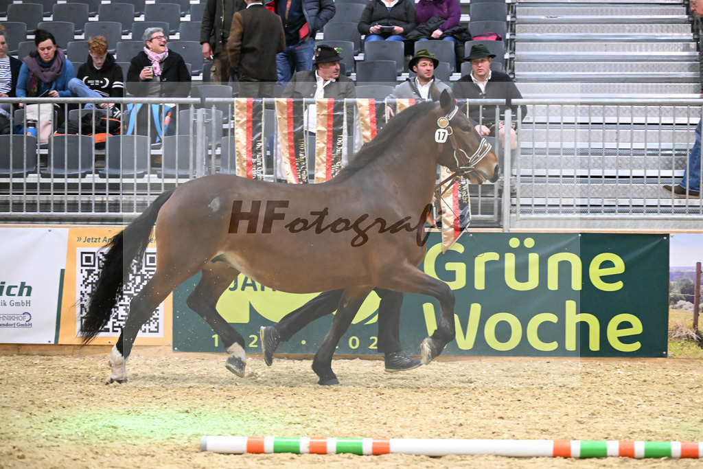 Kat-Nr. 17 Pipa II v. Regent_Kriechbaumer_1260264 | hf-fotografie - Realisiert mit Pictrs.com