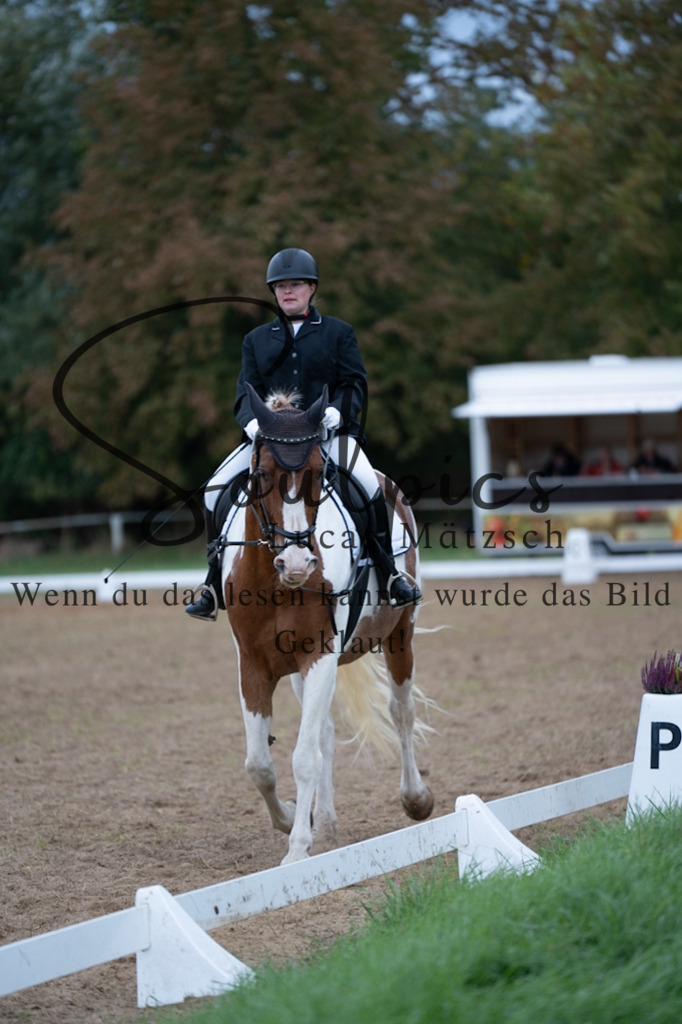 A7V05015 | Pferdefotograf