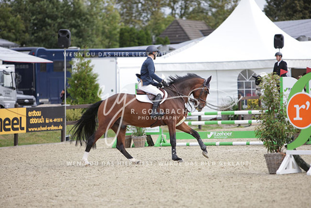 1J2A1624Hendrik Meyer_ Celtic M_ Kn182_ Havekost | Foto- und Videografie für alles rund ums Pferd. Hochwertige Bilder und Videos vom Spring- und Dressurreiten, Voltigieren & mehr. Jetzt aktuelle Veranstaltungen und Preise im Shop ansehen. - Realisiert mit Pictrs.com