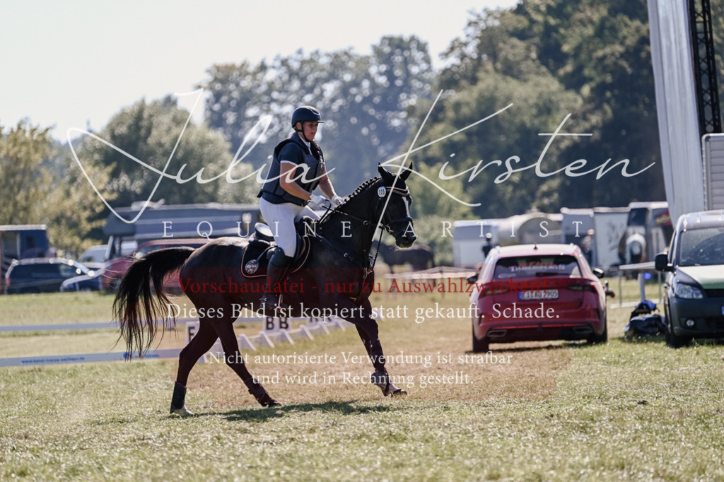 DSC_3320 | Pferde- und Turnierfotografie in Westsachsen. Pferdeportraits, Auftragszeichnungen und intuitive Kunst.