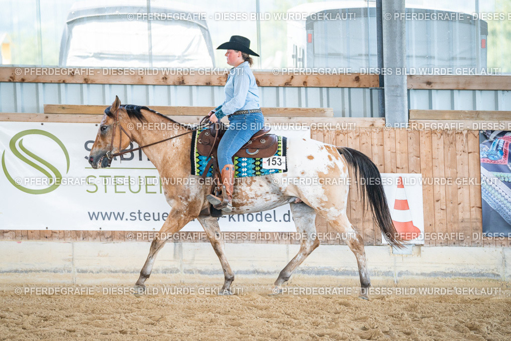 DSC03565 | Pferdegrafie