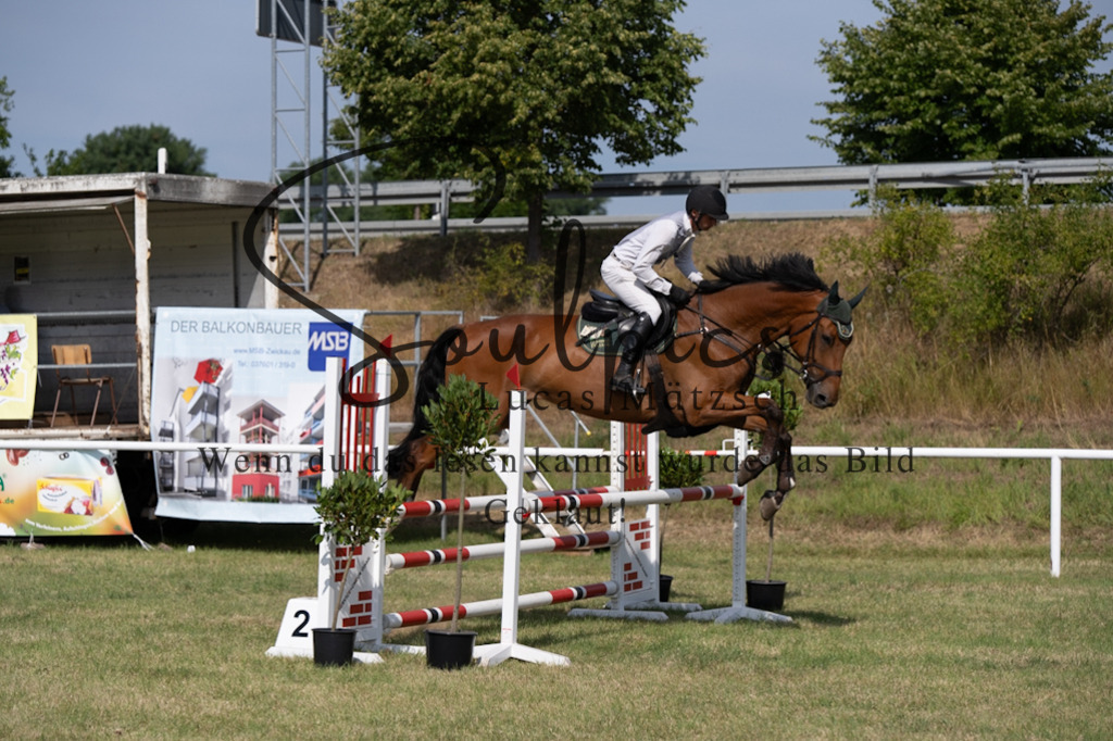 A7V01489 | Pferdefotograf